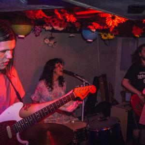 The Shivas
